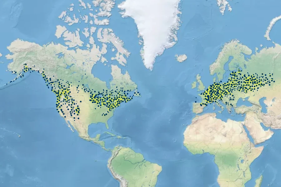 Sambucus racemosa Native Range