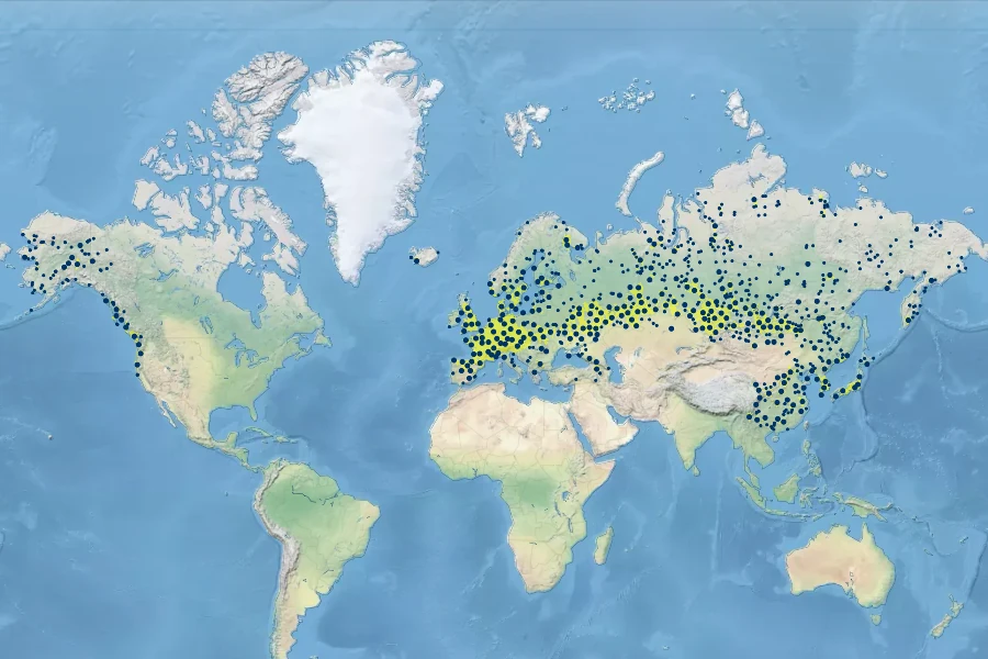Sanguisorba officinalis Native Range