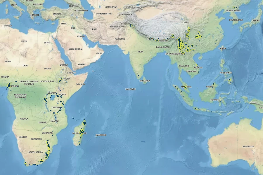 Sanicula elata Native Range