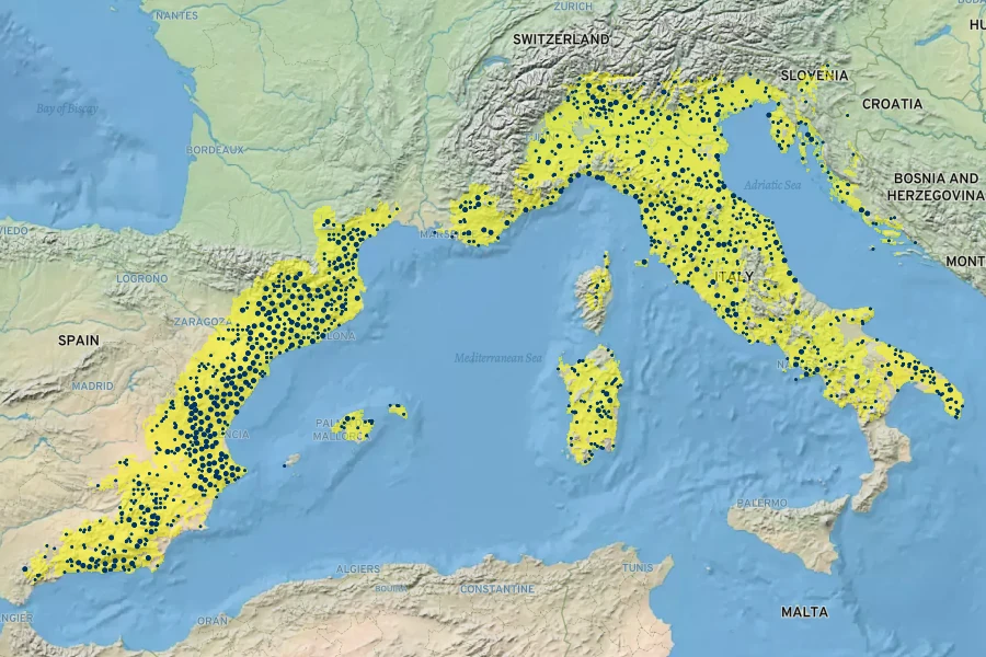 Santolina chamaecyparissus Native Range