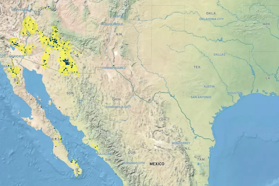 Sarcomphalus obtusifolius var. canescens Native Range
