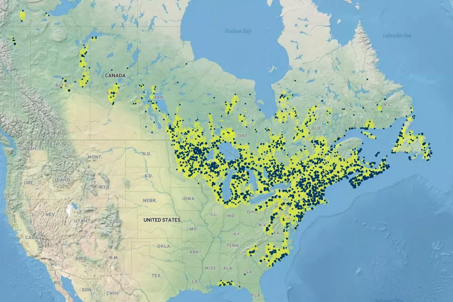 Sarracenia purpurea Native Range