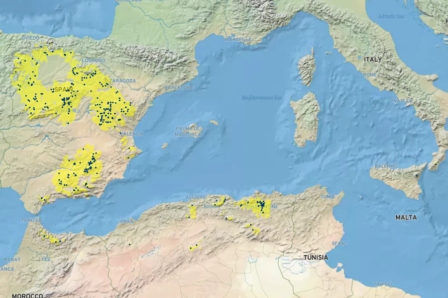 Saxifraga carpetana Native Range