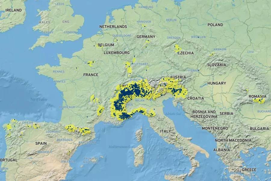 Saxifraga cuneifolia Native Range