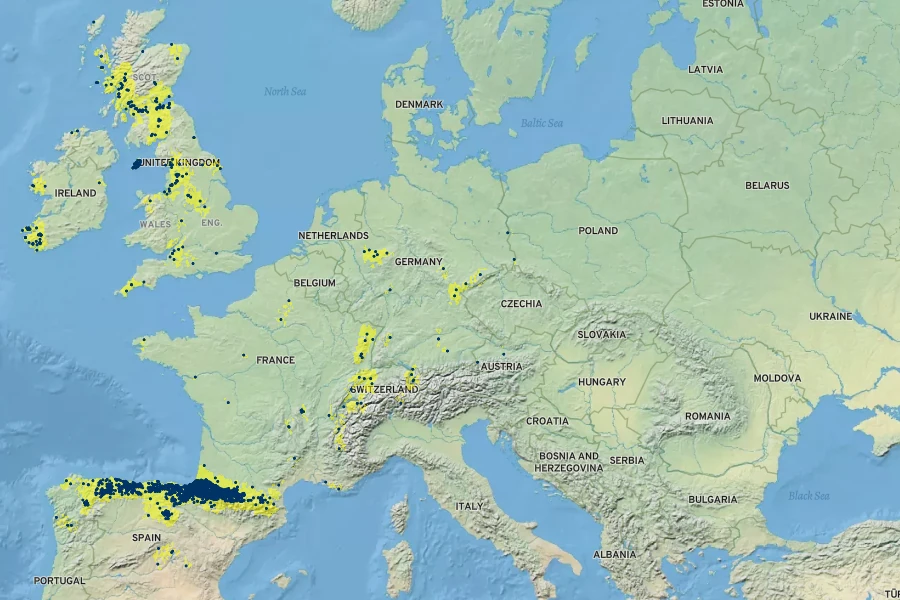 Saxifraga hirsuta Native Range