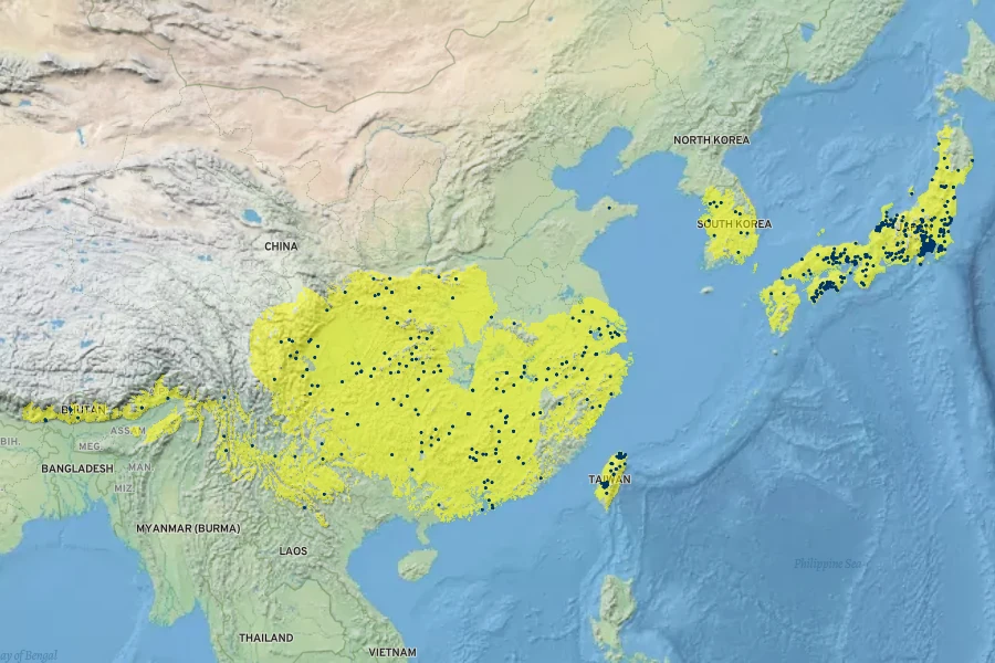 Saxifraga stolonifera Native Range