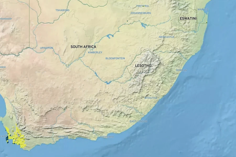 Scabiosa africana Native Range