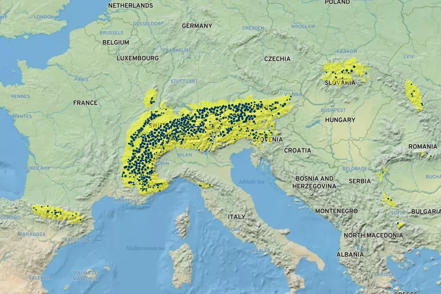 Scabiosa lucida Native Range