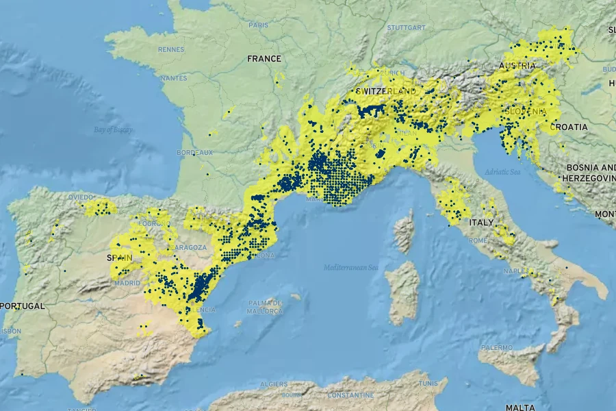 Scabiosa triandra Native Range