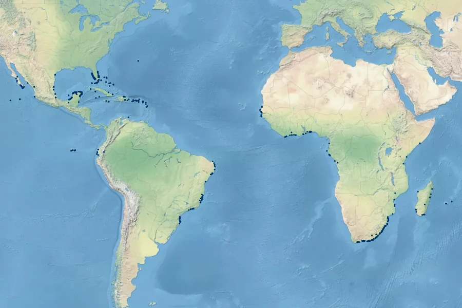 Scaevola plumieri Native Range