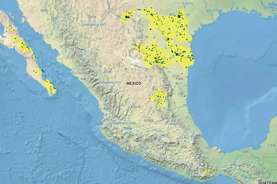 Schaefferia cuneifolia Native Range