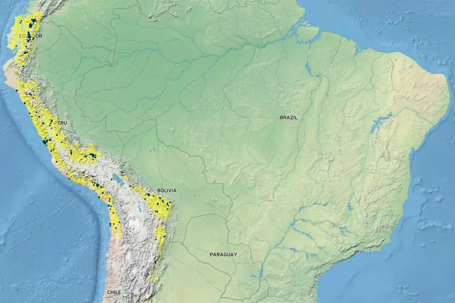 Schinus molle Native Range