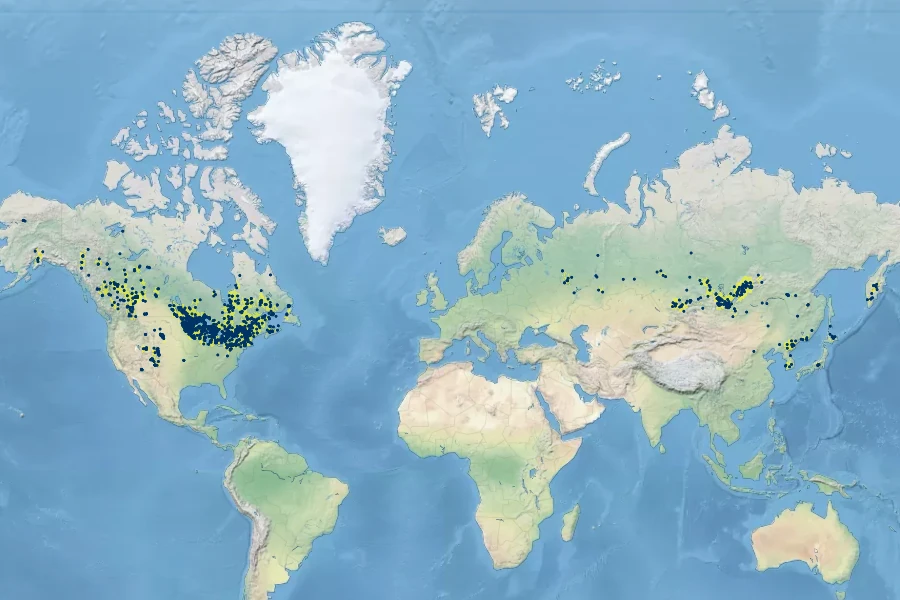 Schizachne purpurascens Native Range