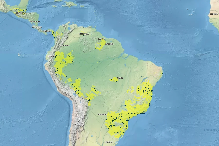 Schnella microstachya Native Range