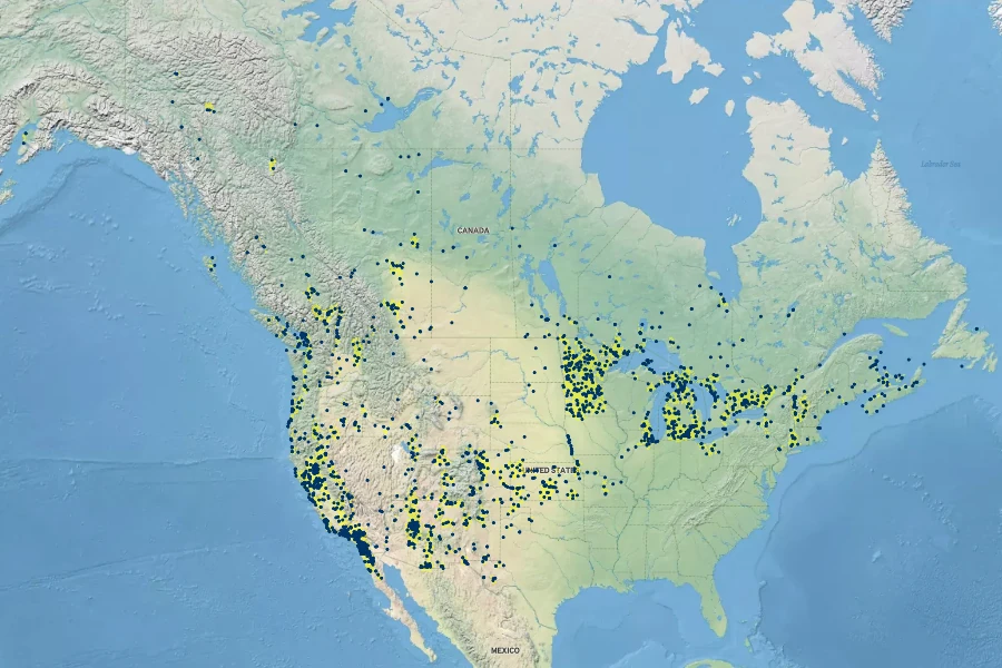Schoenoplectus acutus Native Range
