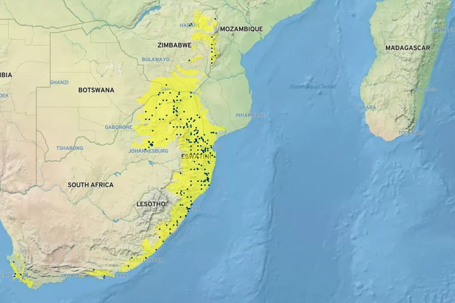 Schotia brachypetala Native Range