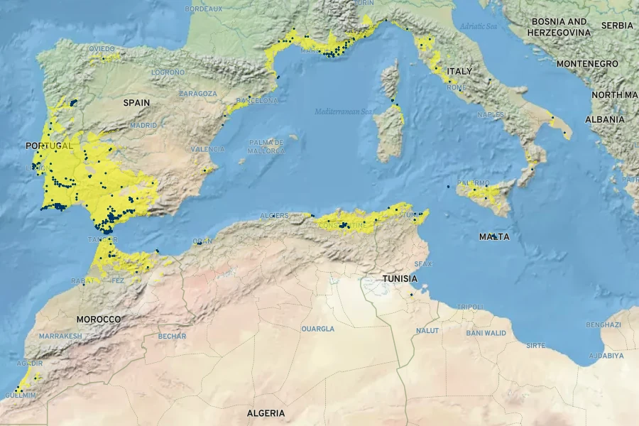 Scilla peruviana Native Range