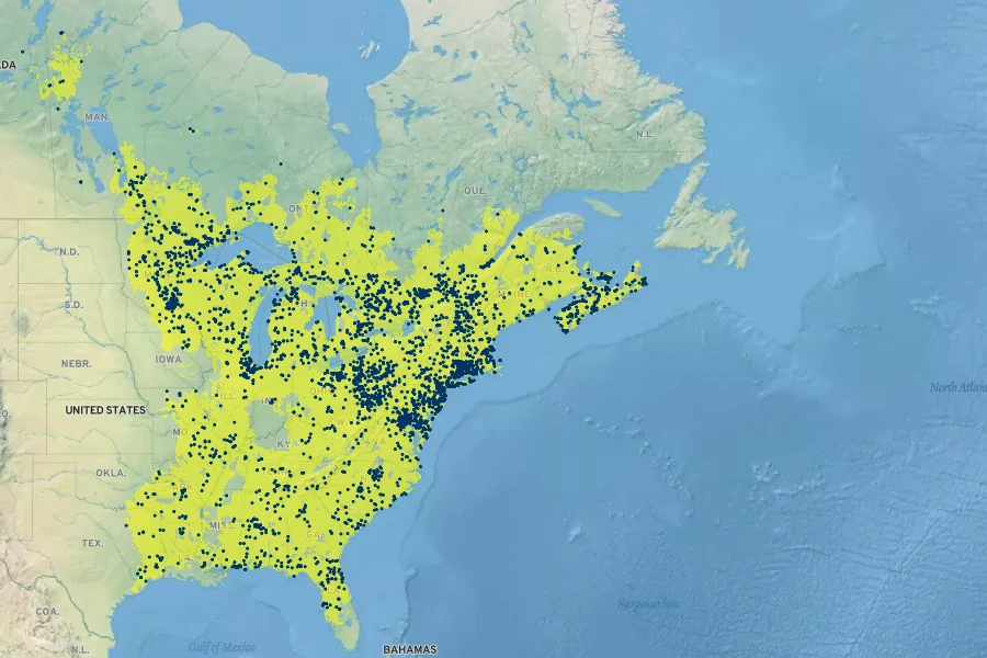 Scirpus cyperinus Native Range