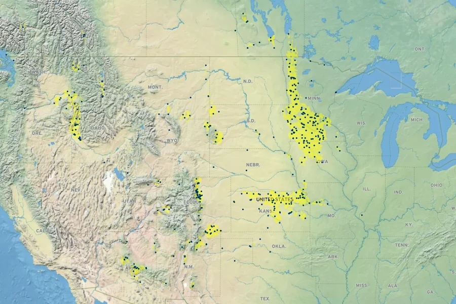 Scirpus pallidus Native Range