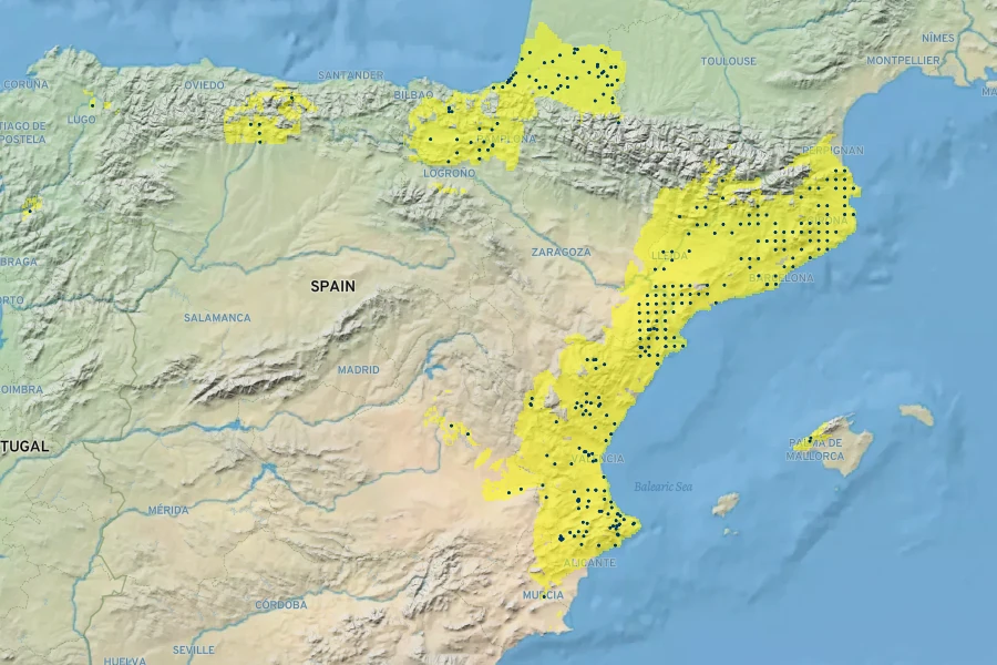 Scrophularia auriculata subsp. valentina Native Range