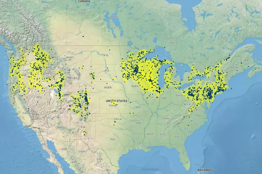 Scrophularia lanceolata Native Range