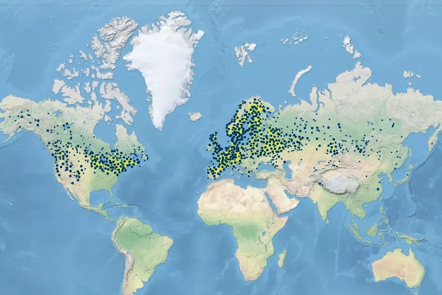 Scutellaria galericulata Native Range