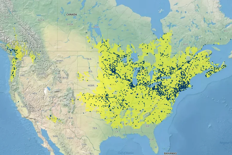 Scutellaria lateriflora Native Range