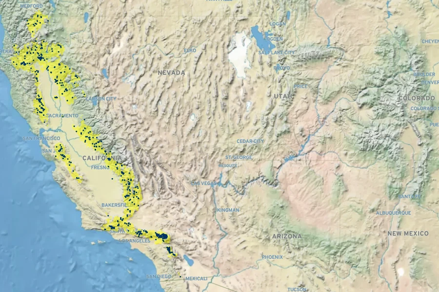 Scutellaria siphocampyloides Native Range