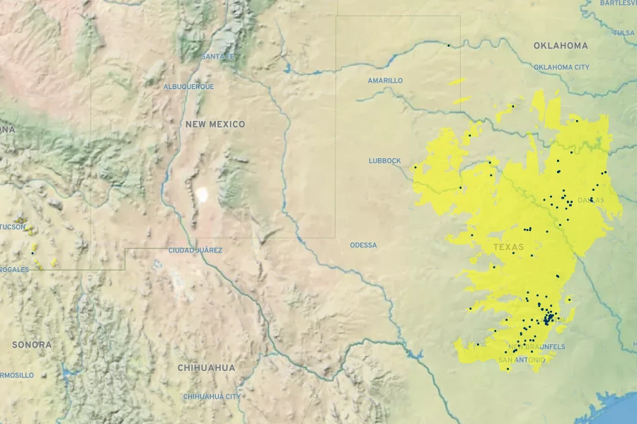 Scutellaria wrightii Native Range