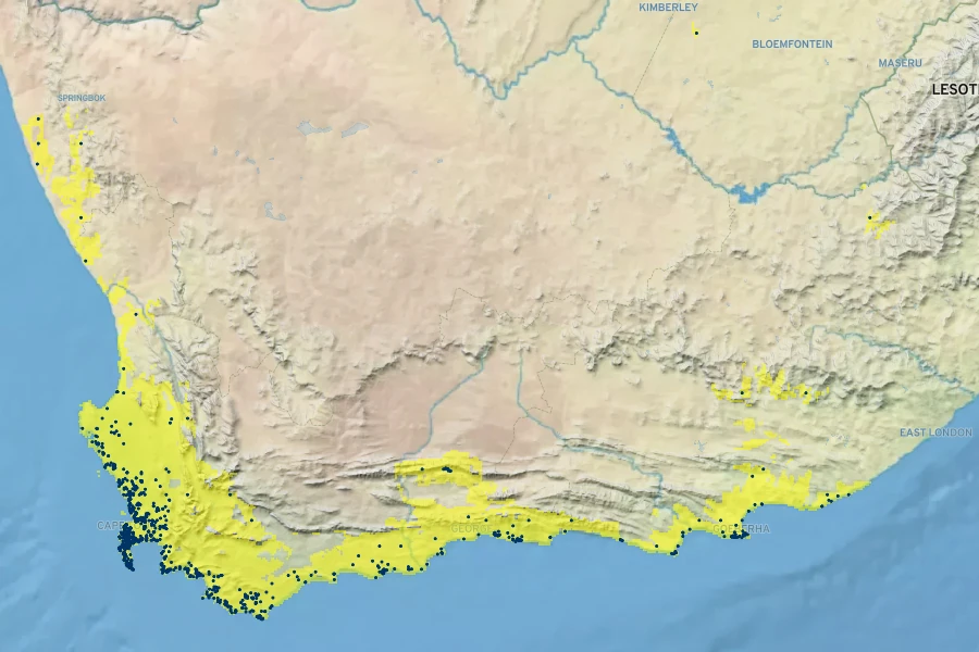 Searsia laevigata Native Range