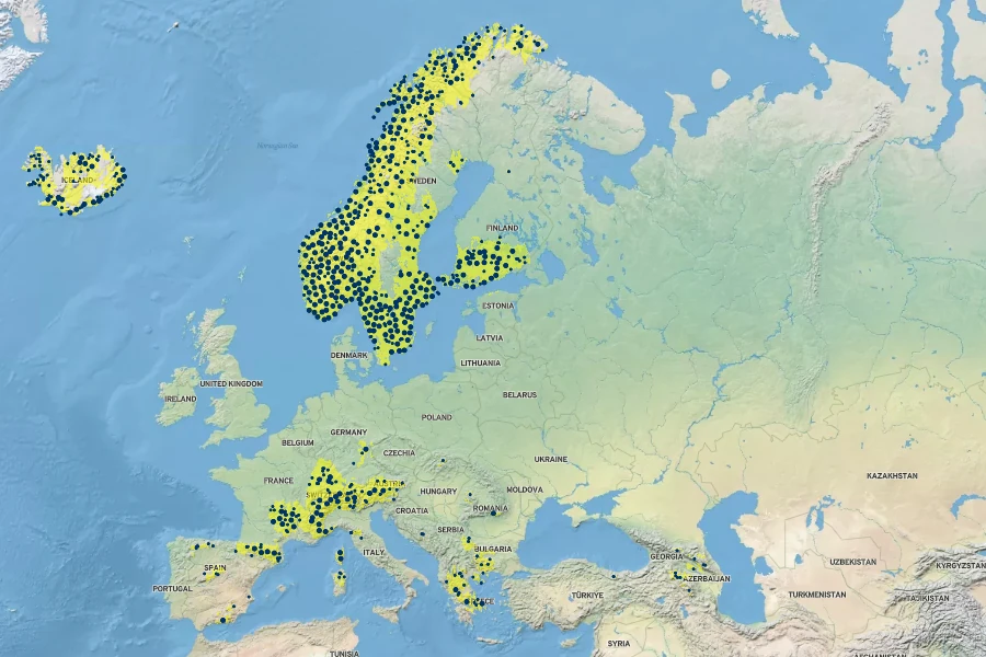 Sedum annuum Native Range