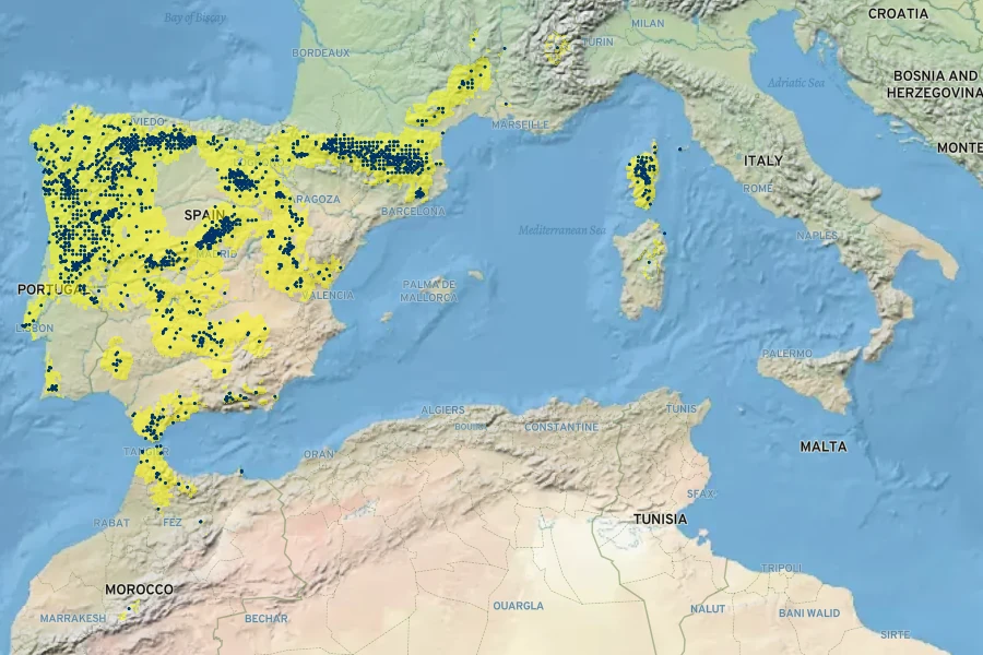 Sedum brevifolium Native Range
