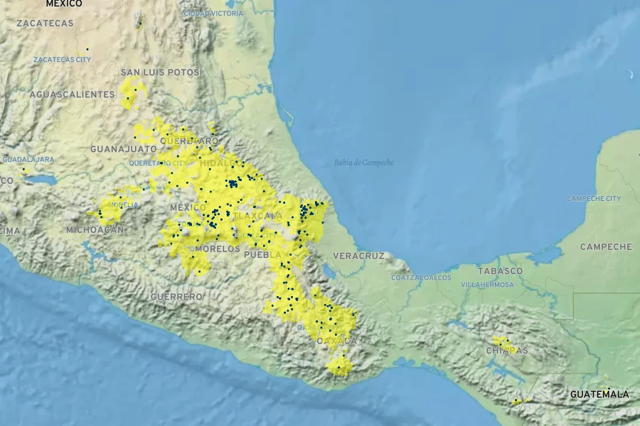 Sedum dendroideum Native Range