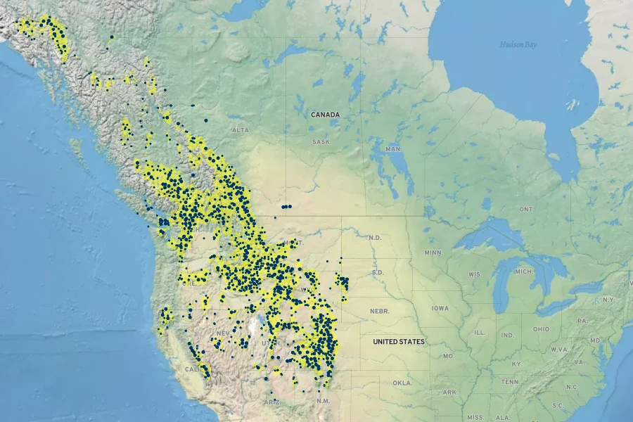 Sedum lanceolatum Native Range