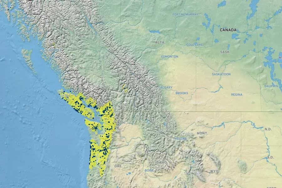 Sedum oreganum Native Range