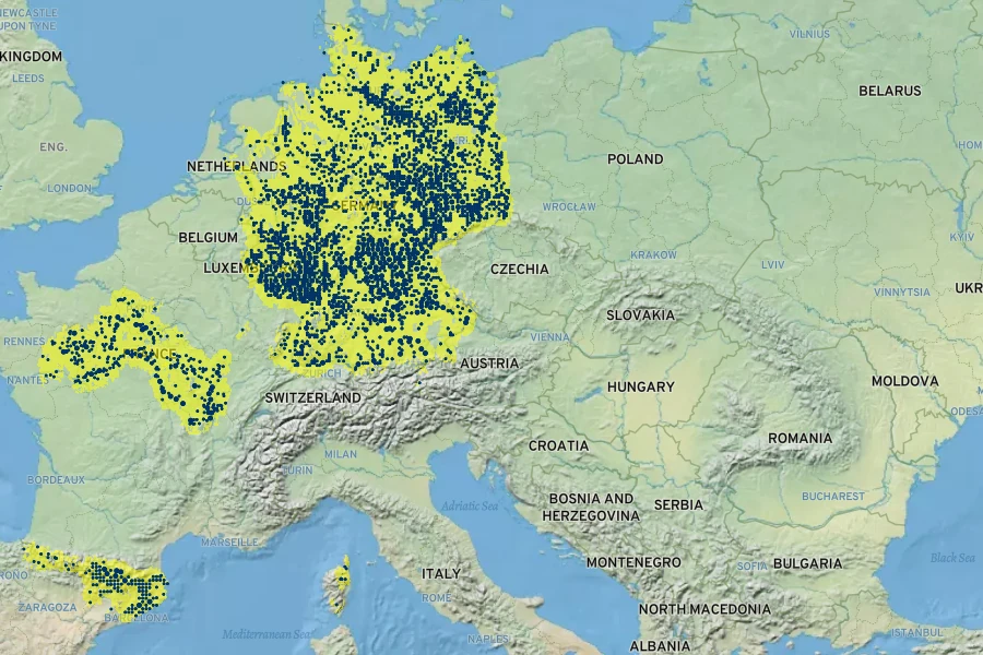 Sedum rupestre Native Range
