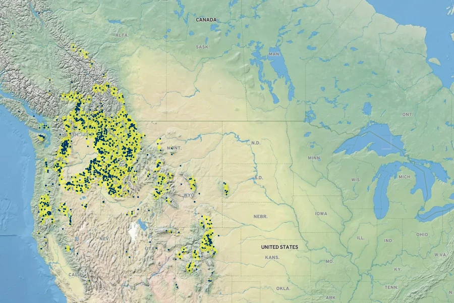 Sedum stenopetalum Native Range