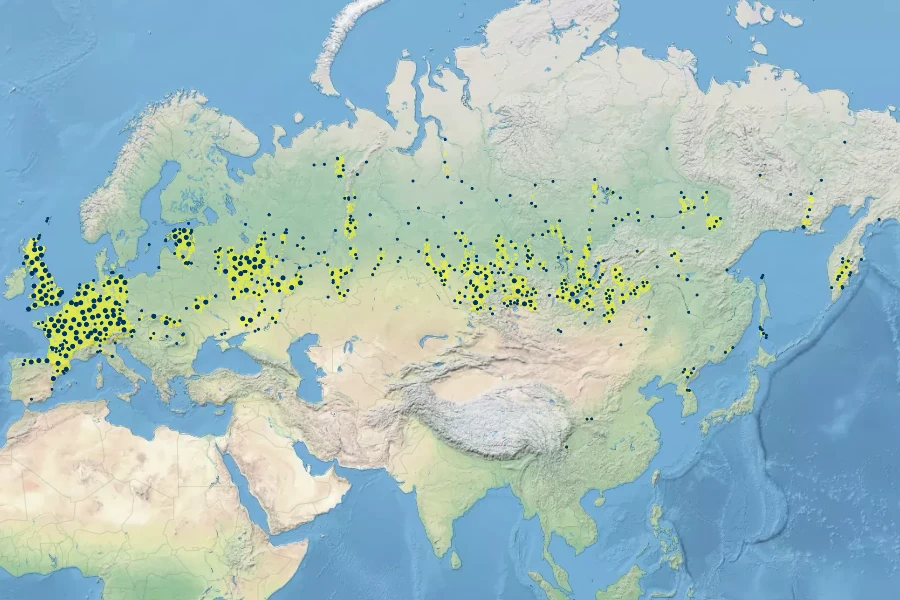 Sedum telephium Native Range