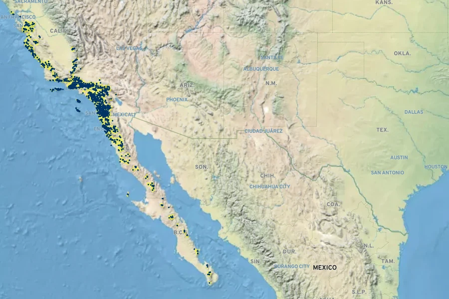 Selaginella bigelovii Native Range