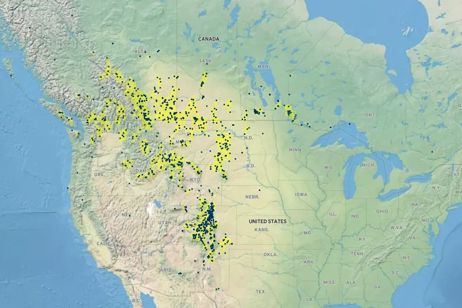Selaginella densa Native Range