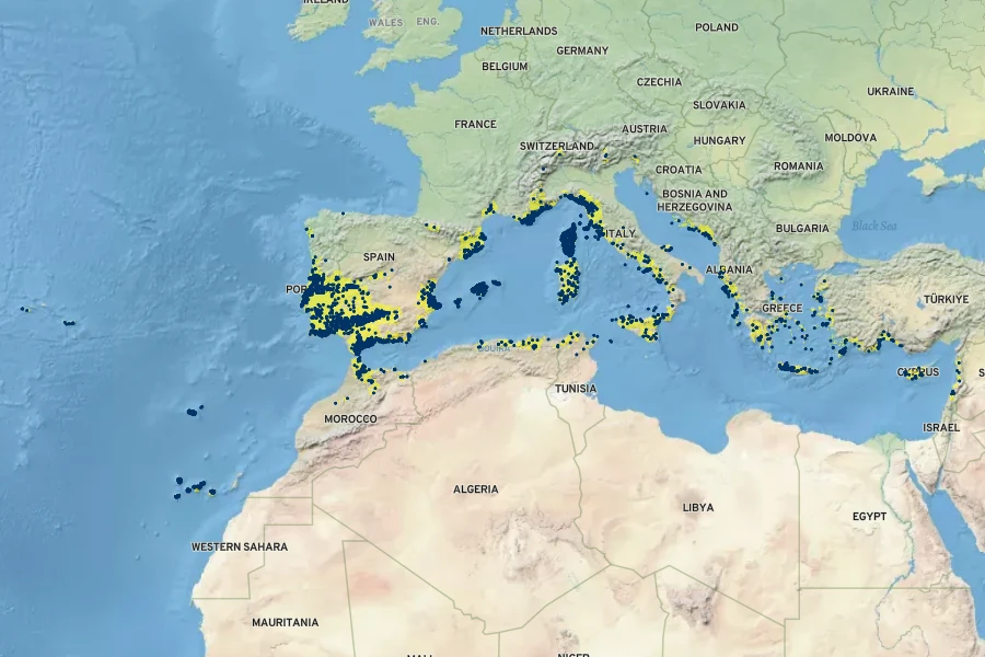 Selaginella denticulata Native Range