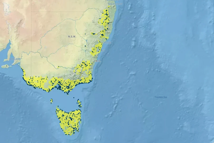 Senecio biserratus Native Range
