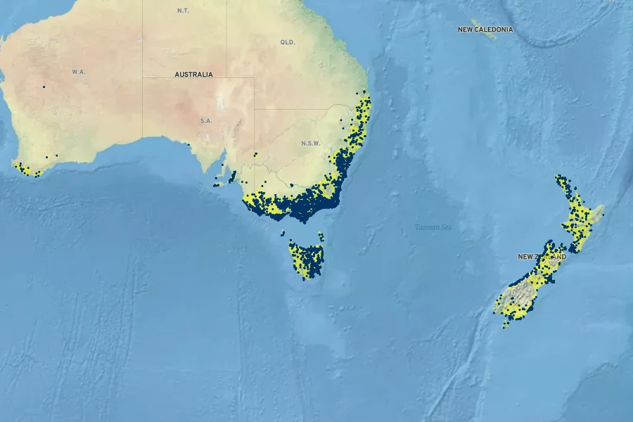Senecio minimus Native Range
