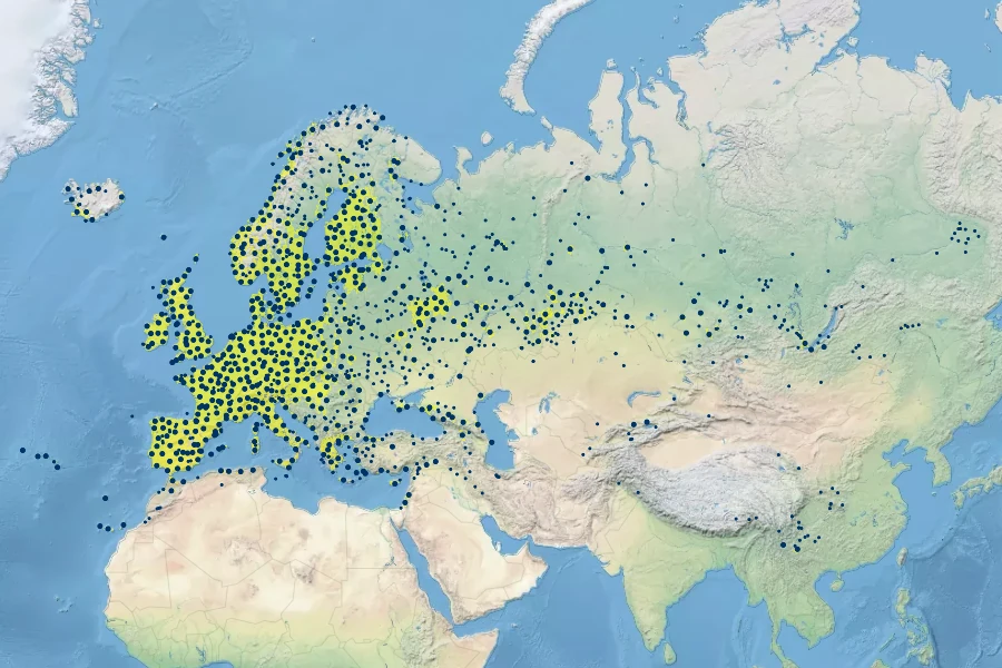 Senecio vulgaris Native Range