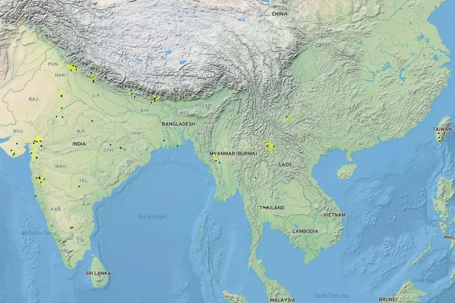 Senegalia catechu Native Range