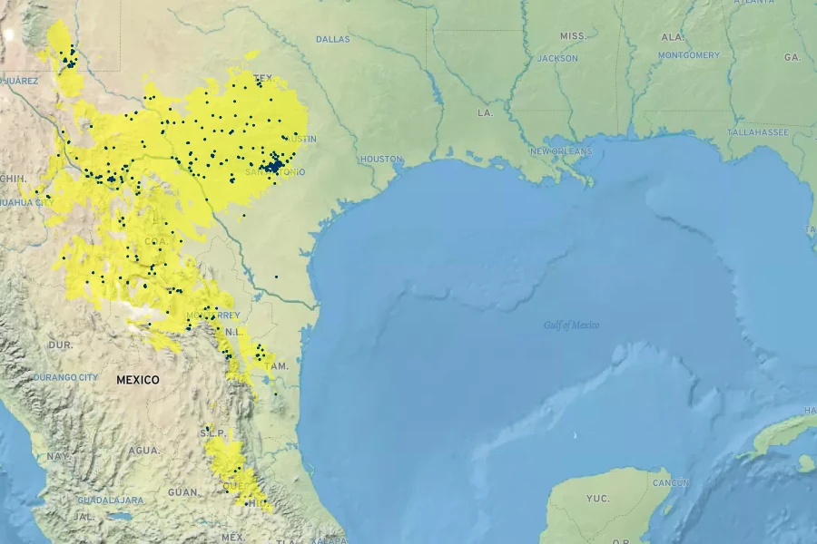 Senegalia roemeriana Native Range