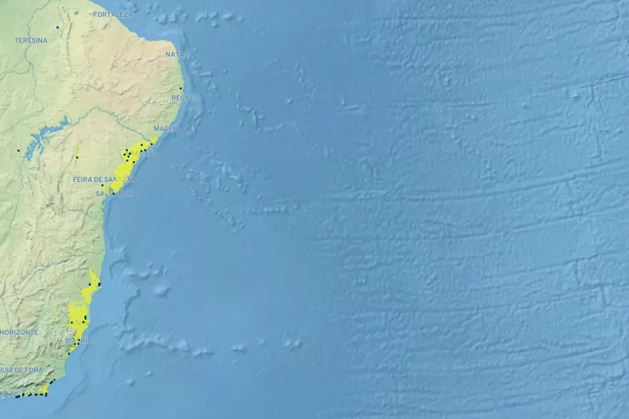 Senna appendiculata Native Range