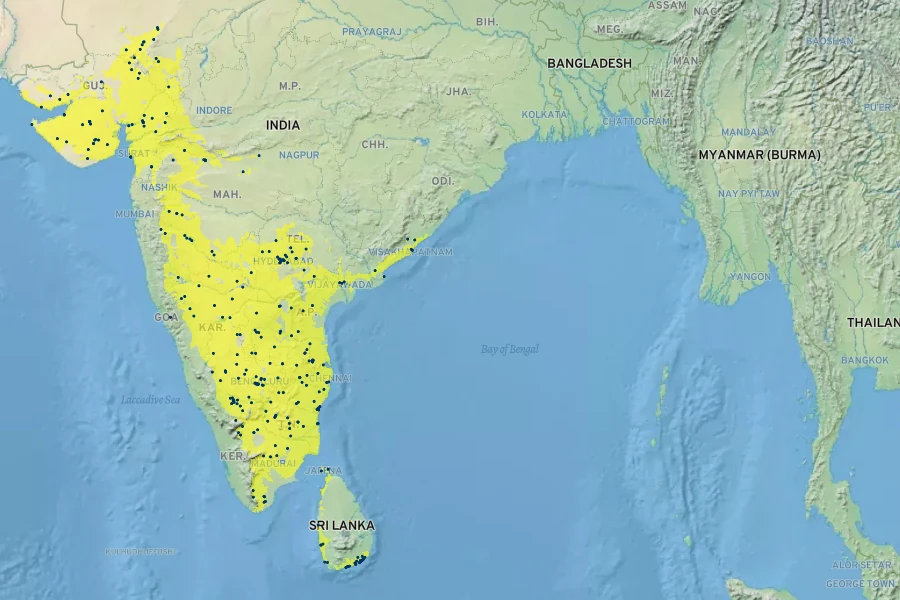 Senna auriculata Native Range