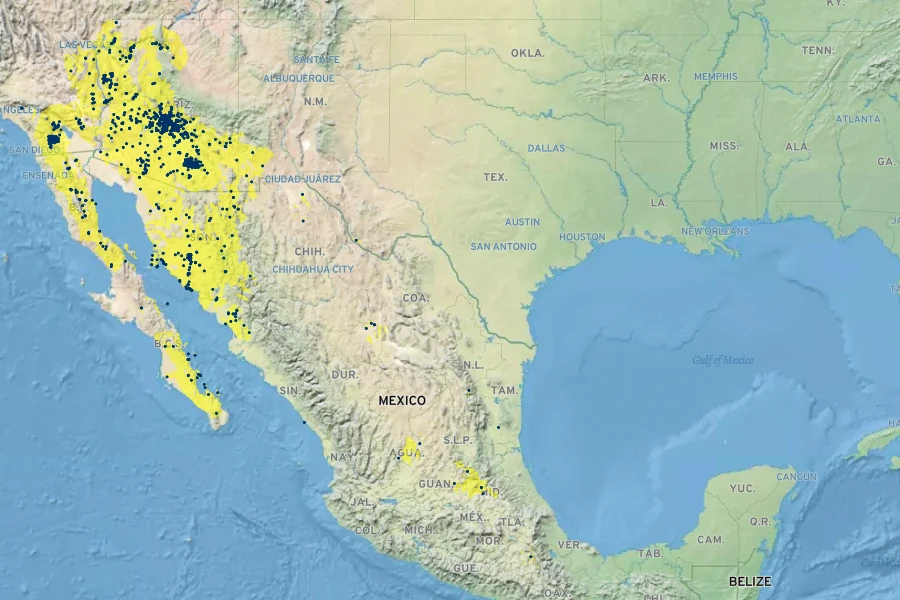 Senna covesii Native Range