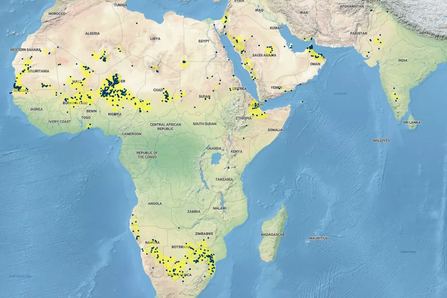 Senna italica Native Range